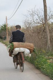 ciclista