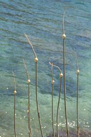 Jun2010 010.jpg